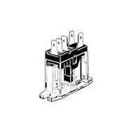 �p���[�����[�@���ړ_�@�P��