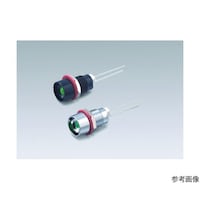 �k�d�c�u���P�b�g�i���^�A�{�̐F�F���A��t