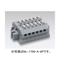 �X�N�����[���X�[�q��@���p�^�i�P�ɂQ����