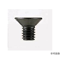 �l�s�R�|�W�a�@�l�s�^�r�X�Z�b�g�T�O��