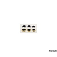 �s�b�R�f�@�r�X�~�߃S�����S�S�[���h