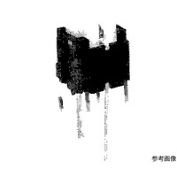 �����`�ƌ��������{�^���X�C�b�`