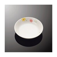 �P�S�����ې[�M�@�v�`�t���[���@�c�@�T�Q�|�o�e�k�@�c�@�T�Q�|�o�e�k�@�P��