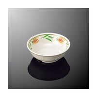 �ۏ����@��^�@�G�X�p�[�j���@�f�@�S�T�|�d�o�@�f�@�S�T�|�d�o�@�P��