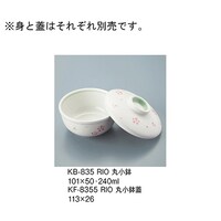 �ۏ����W�@�����@�j�e�|�W�R�T�T�Q�q�h�n�@�j�e�|�W�R�T�T�Q�q�h�n�@�P��