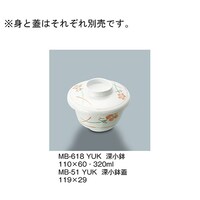 �[�����@�F�ԁ@�l�a�|�U�P�W�Q�x�t�j�@�l�a�|�U�P�W�Q�x�t�j�@�P��