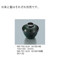 �͂��ڏ`�o�W�@�Γ����@�l�a�|�V�X�P�Q�f�t�j�@�l�a�|�V�X�P�Q�f�t�j�@�P��