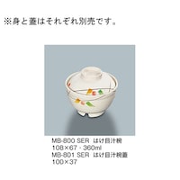 �͂��ڏ`�o�W�@�Z���[���@�l�a�|�W�O�P�Q�r�d�q�@�l�a�|�W�O�P�Q�r�d�q�@�P��