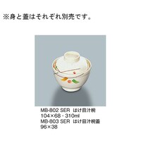 �͂��ڏ`�o�@�Z���[���@�l�a�|�W�O�Q�Q�r�d�q�@�l�a�|�W�O�Q�Q�r�d�q�@�P��