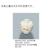 �͂��ڏ`�o�W�@�Z���[���@�l�a�|�W�O�R�Q�r�d�q�@�l�a�|�W�O�R�Q�r�d�q�@�P��