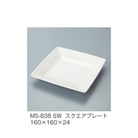 �X�N�G�A�v���[�g�@����@�l�r�|�W�R�W�Q�r�v�@�l�r�|�W�R�W�Q�r�v�@�P��