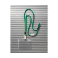 �肳�����D�@�O���[���@�m�|�V�R�l�q�@�m�|�V�R�l�q�@�P��