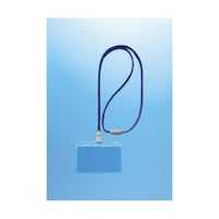 �肳�����D�@�u���[�@�m�|�V�R�d�q�@�m�|�V�R�d�q�@�P��