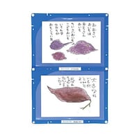 �R�U�P�S�@�c���A���f���z���_�[�@�`�S