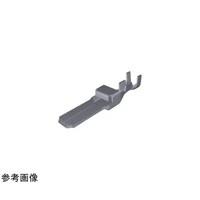 �X�P�V�W�O�Q�|�Q�@�R���^�N�g�s���N�����v