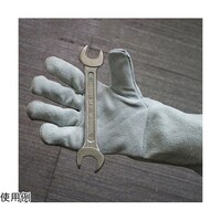 �R�X�X�T�Q�@���v��܁@�T�{�w�^�C�v