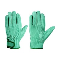 �n�h�k�V�P�V�l�@�����v�I�C�����H���