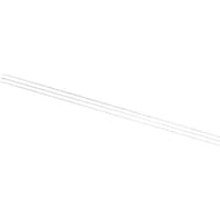 �q�s�@�m�@���[�����[�q��i�L���j