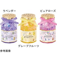 �T���n�[�u�t���O�����X�r�[�Y�i���x���_�[�j�@�s�a�|�P�R�U�U�|�O�P�@�s�a�|�P�R�U�U�|�O�P�@�P��