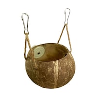 �R�R�E�J�b�v�@�S�T�O