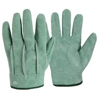 �v��@�I�C���w�D���V���[�g