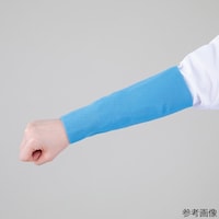 �����O�t���C�X