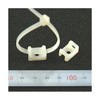 �o���h�Œ��