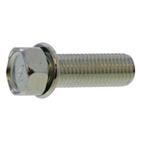 �g���݂˂��@�S���`�A�v�Z�b�g�זځ@�r�o��