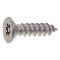 �X�e���@�s�q�~�^���p�[�@�v���[�t�@�`�T��