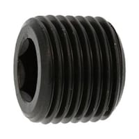 �v���O�i�����@�J�N�}���@�o�s�@�P�^�Q�@�i