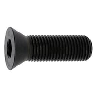 �`�^���@�T���b�`�o�@�S�~�R�O�@�i�U�{���j