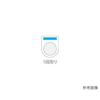 ���{�^���^�Z���N�g�X�C�b�`�i���K�l���j