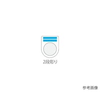 ���{�^���^�Z���N�g�X�C�b�`�i���K�l���j