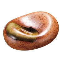 �M�y�ی^���u�@�s�O�R�|�R�Q�T�@�s�O�R�|�R�Q�T�@�P��