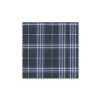 �p�t���[���i�߂��ː@���j�@�u���[�`�F�b�N�@�R�O�P�V�|�P�V�@�R�O�P�V�|�P�V�@�P��