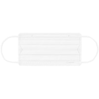 �v���[�c�}�X�N