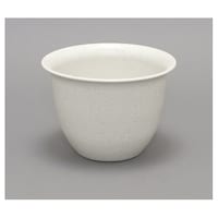 �Z���i�|�b�g�@�X���@�T���h�x�[�W���@�U�W�|�O�R�Q�U�|�Q�U�@�P��