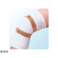 �f���b�N�X�G�S���x���g�i�܃p�b�P�[�W�j�@