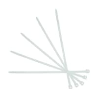 �����o���h�i���j