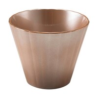 �t�����[�J�b�v�@�ⓧ���i�ԁj�@�W�R�R�Q�O�P�X�O�@�W�R�R�Q�O�P�X�O�@�P��