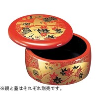 �c�w���ۂ��炵�@���ʁi�e�j�@�V�Q�O�Q�O�O�S�Q�@�V�Q�O�Q�O�O�S�Q�@�P��