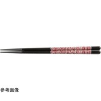 �o�a�s�Q�Q�D�Q�����@�Z�p�ؖڔ��@����ы◐���@�R�O�O�P�O�R�Q�O�@�R�O�O�P�O�R�Q�O�@�P��