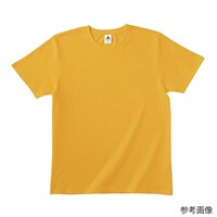 �x�[�V�b�N�X�^�C���s�V���c�@�S�[���h�C�G���[�@�r�@�s�q�r�V�O�O�|�S�[���h�C�G���[�|�r�@�s�q�r�V�O�O�|�r�@�P��