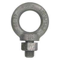 �A�C�{���g�@�h�u