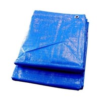 �u���[�V�[�g�@���Q�O�O�O�@�P�O�~�P�O���@�U�X�|�R�O�W�U�|�U�S�@�P��