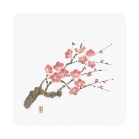 �a���R�[�X�^�[�@�l�G�@�p�^�i�T�O�����j�v�b�n�|�j�Q�m�@�~�@�V�O�P�X�R�P�O�@�P��