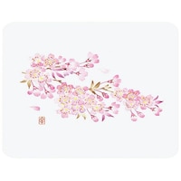 �a���R�[�X�^�[�@�l�G�@�p�^�i�T�O�����j�v�b�n�|�j�R�m�@���@�V�O�P�X�S�P�O�@�P��