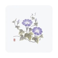 �a���R�[�X�^�[�@�l�G�@�p�^�i�T�O�����j�v�b�n�|�j�U�m�@����@�V�O�P�X�V�P�O�@�P��