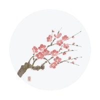 �a���R�[�X�^�[�@�l�G�@�ی^�i�T�O�����j�v�b�n�|�l�Q�m�@�~�@�V�O�Q�O�T�P�O�@�P��