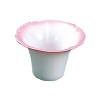 ���璿�����@�s���N�@�Q�T�S�U�P�@�Q�T�S�U�P�@�P��